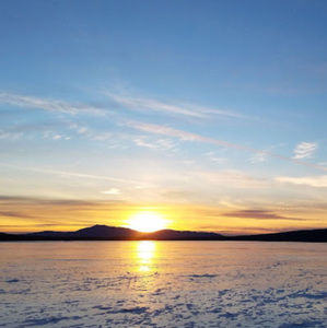 Meet your Posher, Ava